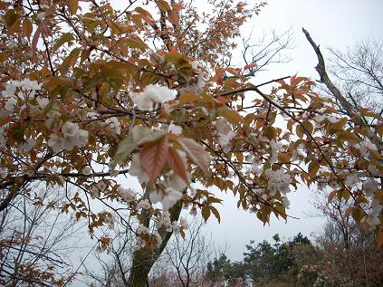 c0153173_2115928.jpg