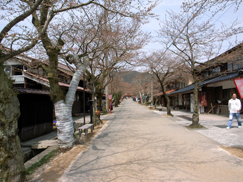 d0141173_16322231.jpg