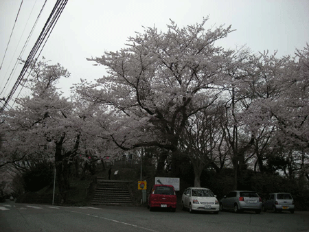 e0066883_2228212.gif