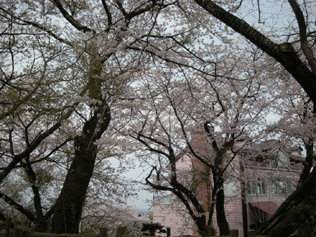 e0066883_22311716.gif