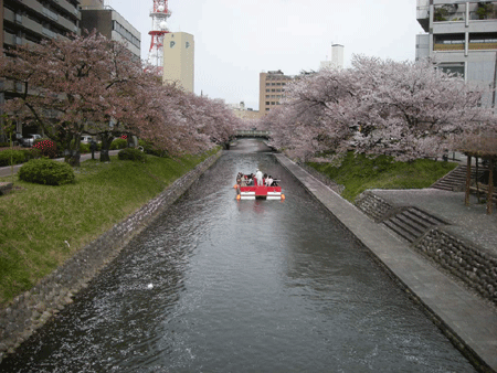 e0066883_2341737.gif