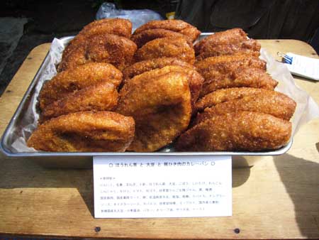 魅惑のカレーパン_a0016090_19165411.jpg