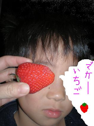 c0087305_7183887.jpg