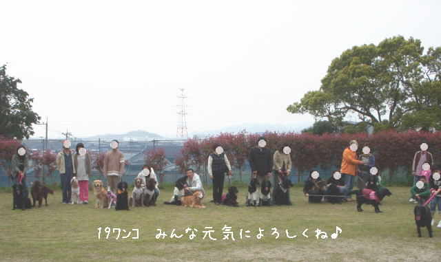 c0017311_84163.jpg