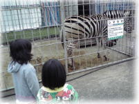 移動動物園に行ってみた_b0134915_23292885.jpg