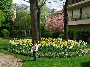 桜、満開！_e0030921_815583.jpg