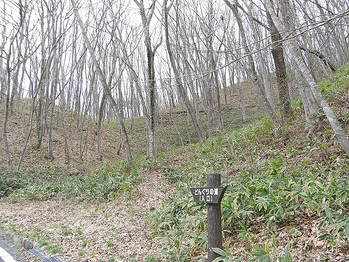 f0003138_14264151.jpg