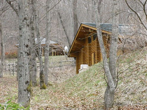 f0003138_14421195.jpg