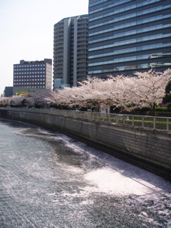 b0058956_00456.jpg