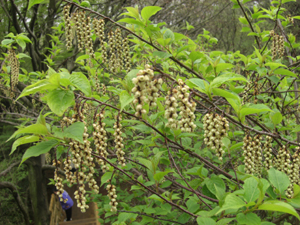 a0053063_024495.jpg