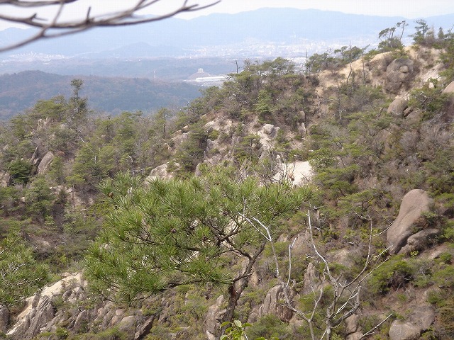 b0044663_011611.jpg