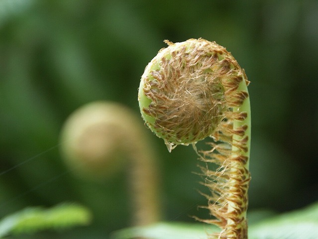 b0044663_0203722.jpg