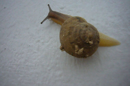 what are you looking at?_c0153966_2225139.jpg