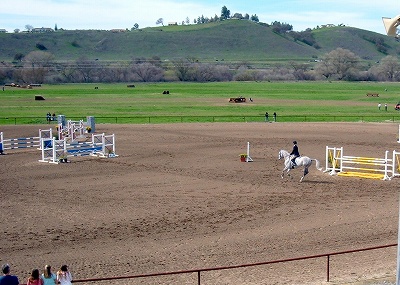 a0080368_8493328.jpg
