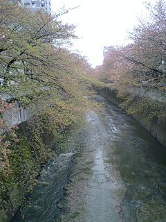 クマ巡査、東京パトロールの巻。_f0050468_11523491.jpg