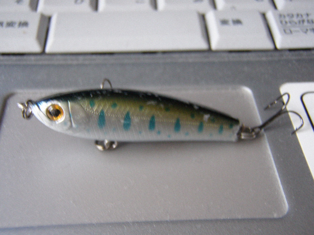 リップレスミノーって 結構良いかも 釣れず つれぬままに リップレスミノーって 結構良いかも 釣れず つれぬままに