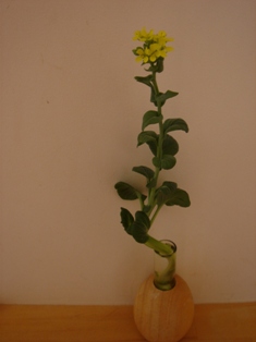 c0135480_0411551.jpg