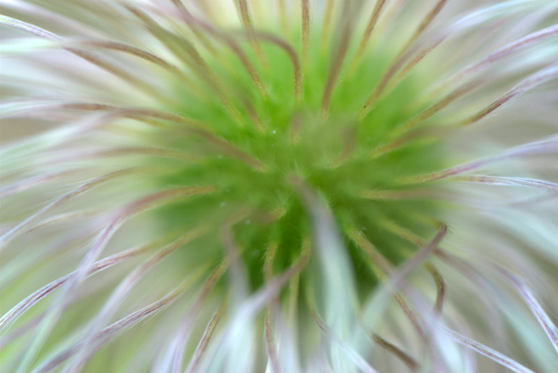 a0105281_19283628.jpg