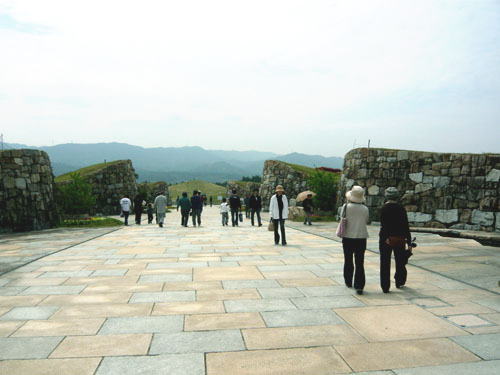 花ざかりの日曜日_c0103686_13263094.jpg