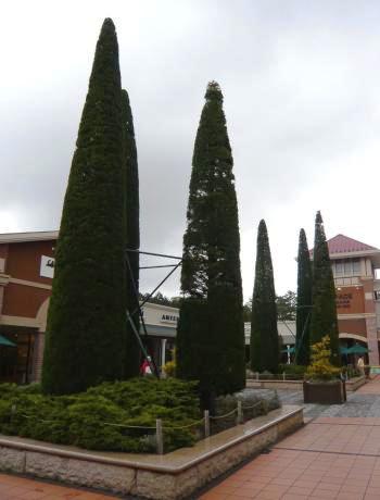 f0068687_045033.jpg