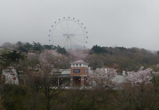 f0068687_05350.jpg