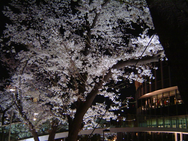 b0027290_312693.jpg