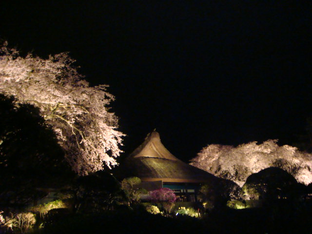 f0137694_88179.jpg