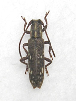 e0083097_10071.jpg