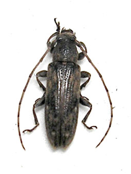 e0083097_11792.jpg
