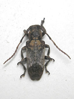 e0083097_14770.jpg