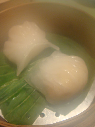 豊中 彩菜_b0118001_133130.jpg