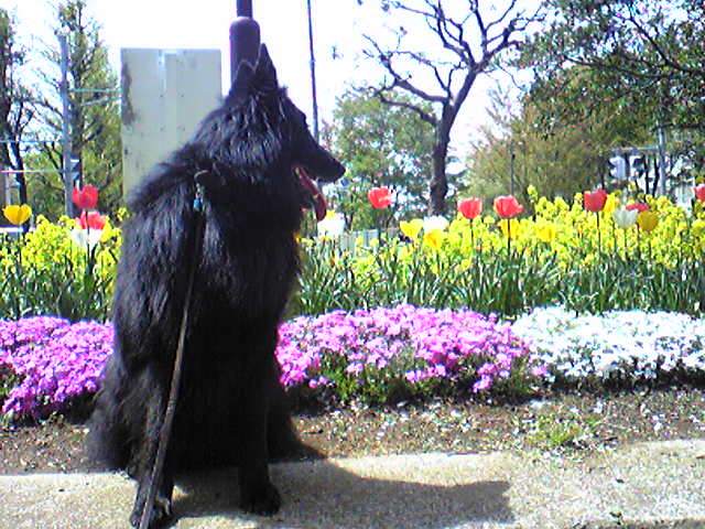 f0109202_13103668.jpg