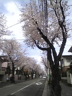 c0129604_1357523.jpg