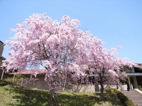 e0024206_2262488.jpg