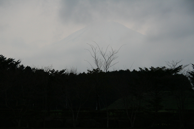 雨かも？？じゃぁ、やまぼうしでしょう。_c0119819_22154834.jpg