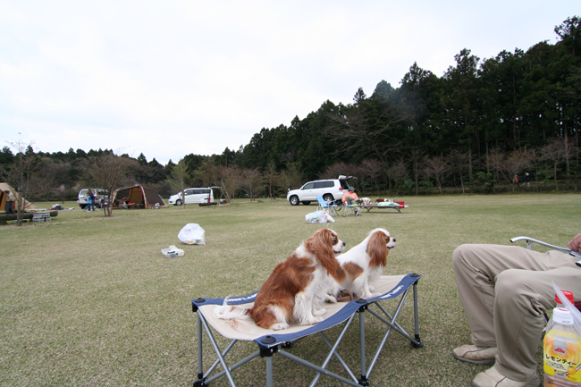 雨かも？？じゃぁ、やまぼうしでしょう。_c0119819_22465420.jpg