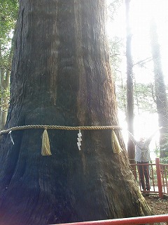 ふたたび千葉へ　一日目　　麻賀多神社_b0138522_22574189.jpg