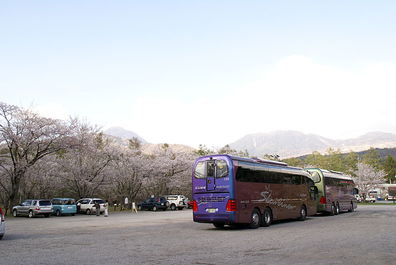 GWの蓼科は桜満開なのです_d0102327_246101.jpg