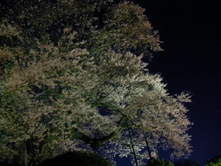 c0081535_455439.jpg