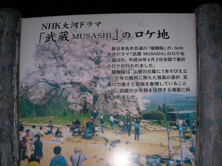 c0081535_4572448.jpg