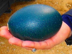 c0047339_9205862.jpg