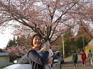 a0092245_17464320.jpg