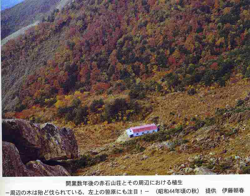 東赤石山 赤石山荘の改修資材歩荷ボランティア 写真日記 東赤石山 赤石山荘の改修資材歩荷ボランティア 写真日記