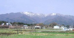 上田城千本桜_a0089450_2137044.jpg