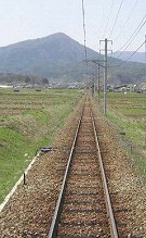 上田城千本桜_a0089450_2229366.jpg