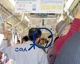 上田城千本桜_a0089450_2234591.jpg