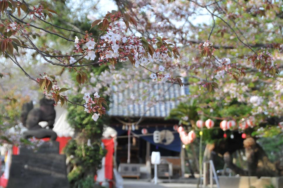 子ども神楽奉納♪_b0115751_21535370.jpg