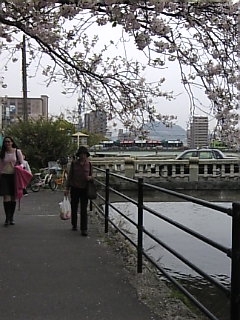 d0109551_952881.jpg