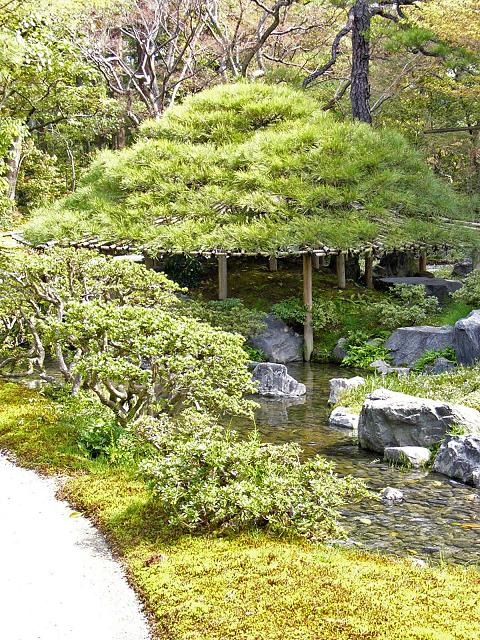 京都御所春季一般公開（９）御内庭_b0063958_1850398.jpg