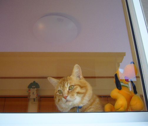 2008年4月15日(火)ワンコがいっぱい!_f0060461_22323478.jpg